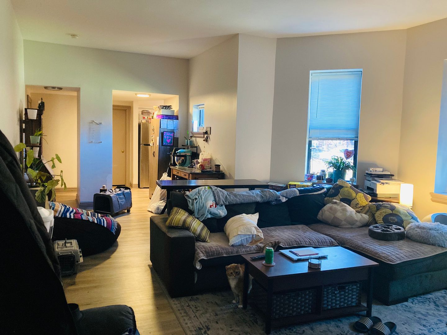 Pittsburgh Apartment: 1110 Sheffield Street