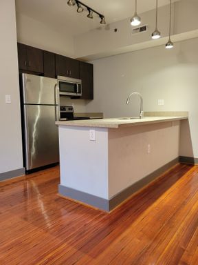 The Ponce de Leon - 1 Bedroom/1 Bathroom Apartment – photo 1