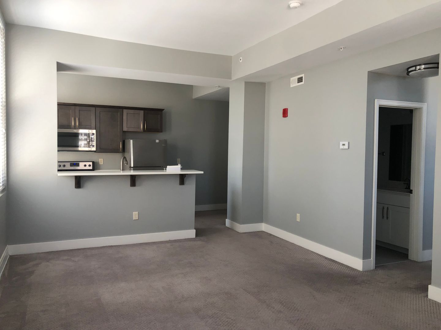 Roanoke Apartment: 416 S. Jefferson Street