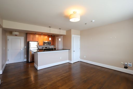 The Patrick Henry - 2 Bed/2 Bath Apartment with View of the Roanoke Star – photo 1