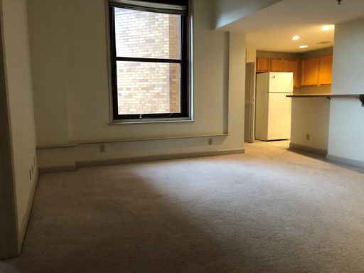 The Crossings - Spacious 1 Bedroom/1 Bath With a Vault – photo 1