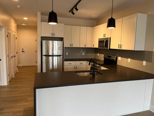 2 Bed/2 Bath with Walk In Closet at The Bower Downtown – photo 1