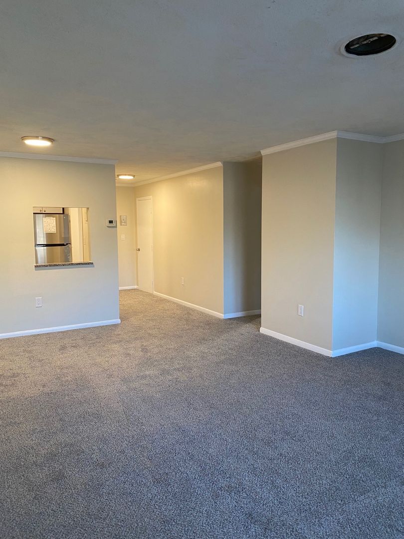 Norwood Apartment: 55 David Terrace