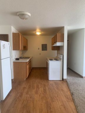 3 Bedroom and 3 Bathroom Layout – photo 1