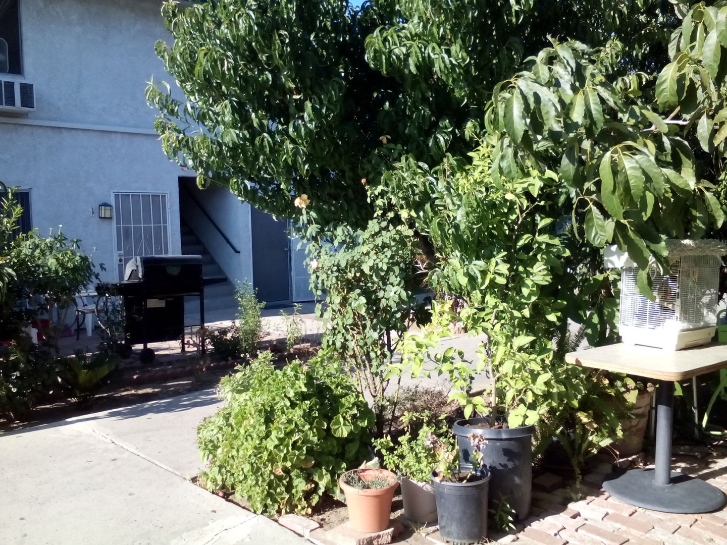 La Habra Apartment: 401 N. Idaho Street