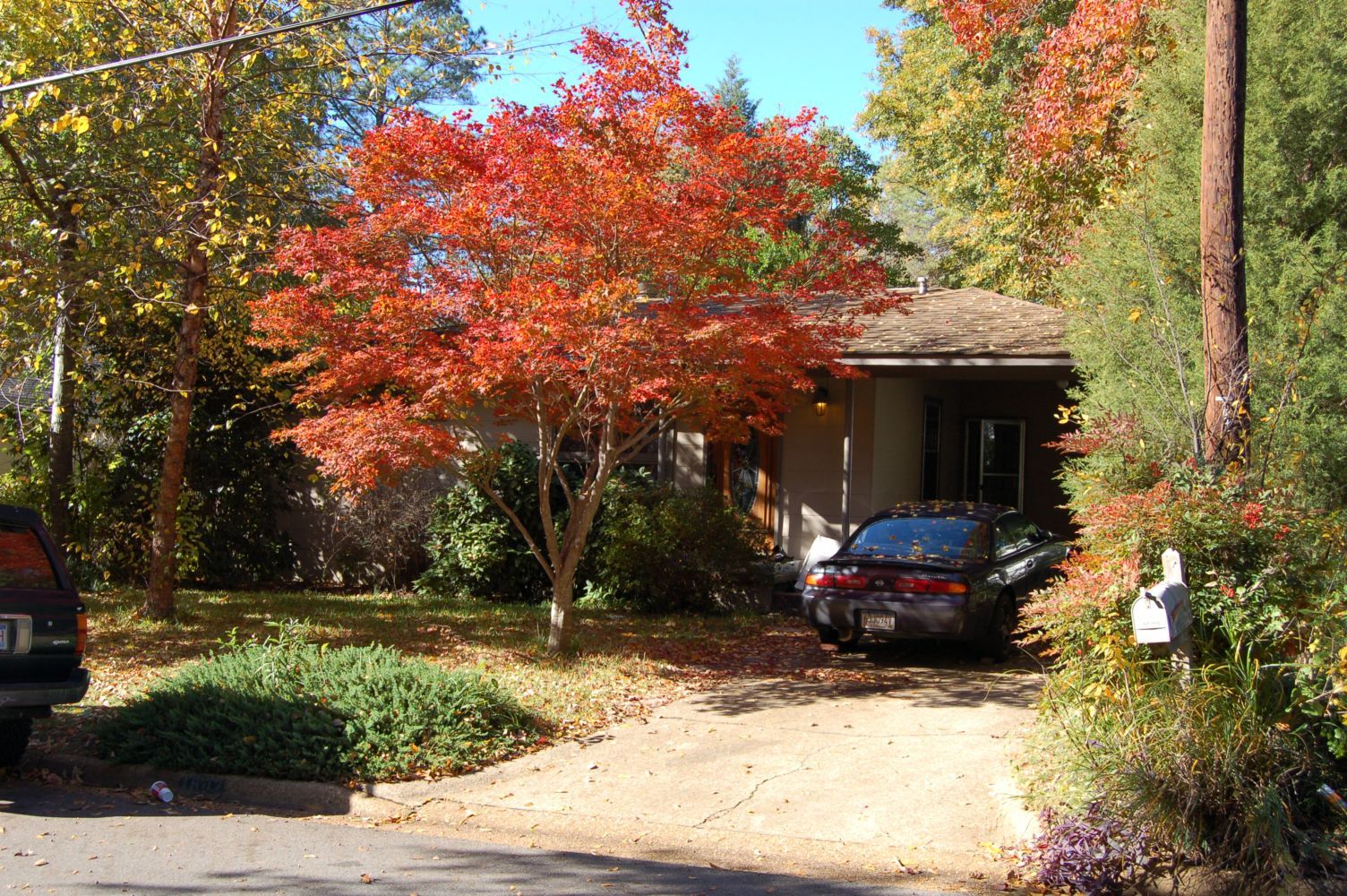 Tuscaloosa House: 1602 18th Avenue East