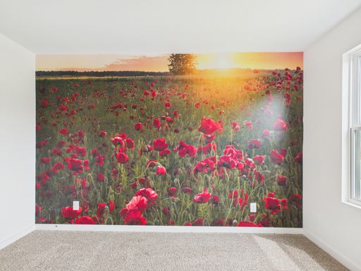 724 Grace Lane, Fredericksburg, TX 78624