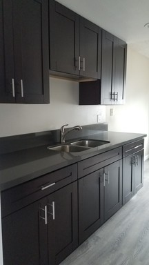 Spacious 2B/1B in Spring Valley - Newly remodeled! – photo 1