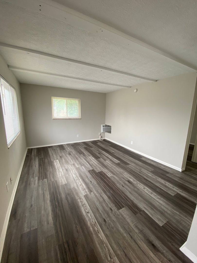 1 Bedroom Apartment with Washer/Dryer Hookups & A Spooky Good Rent Special! 