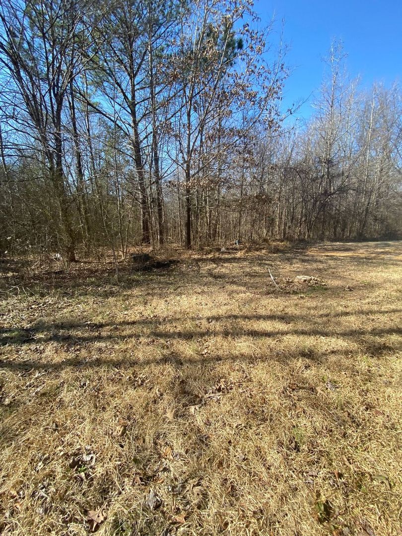 769 Mays Rd , Coldwater, MS 38618