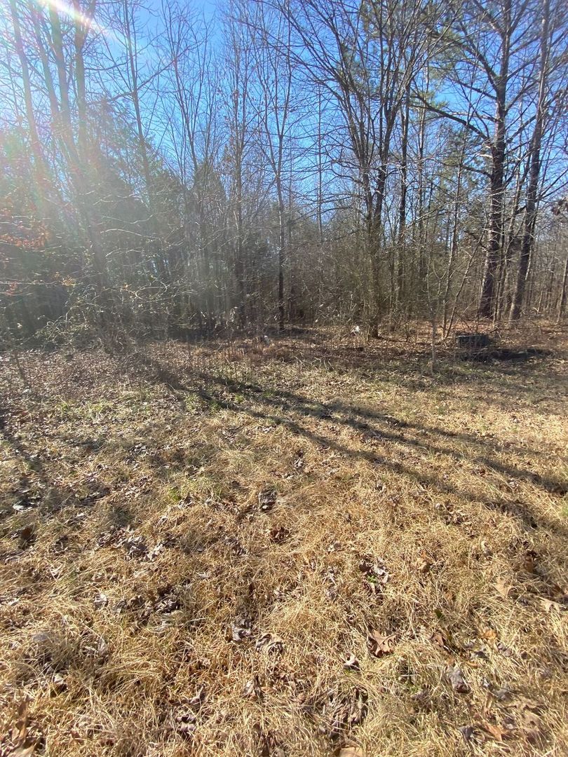 769 Mays Rd , Coldwater, MS 38618