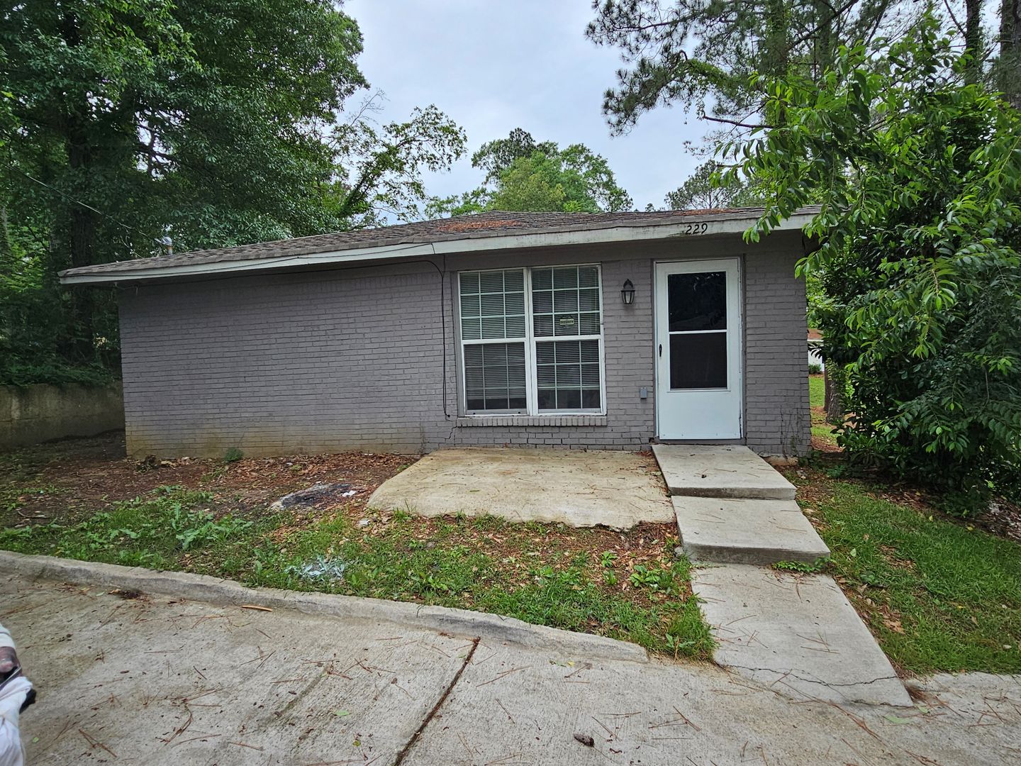 Jackson Apartment: 227/229 Lawrence Road