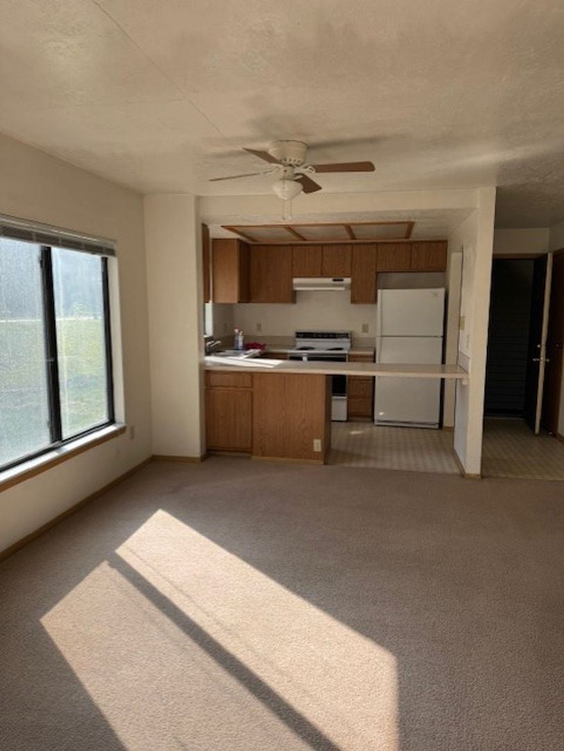 Hailey Apartment: 614 1/2 4th Ave. S