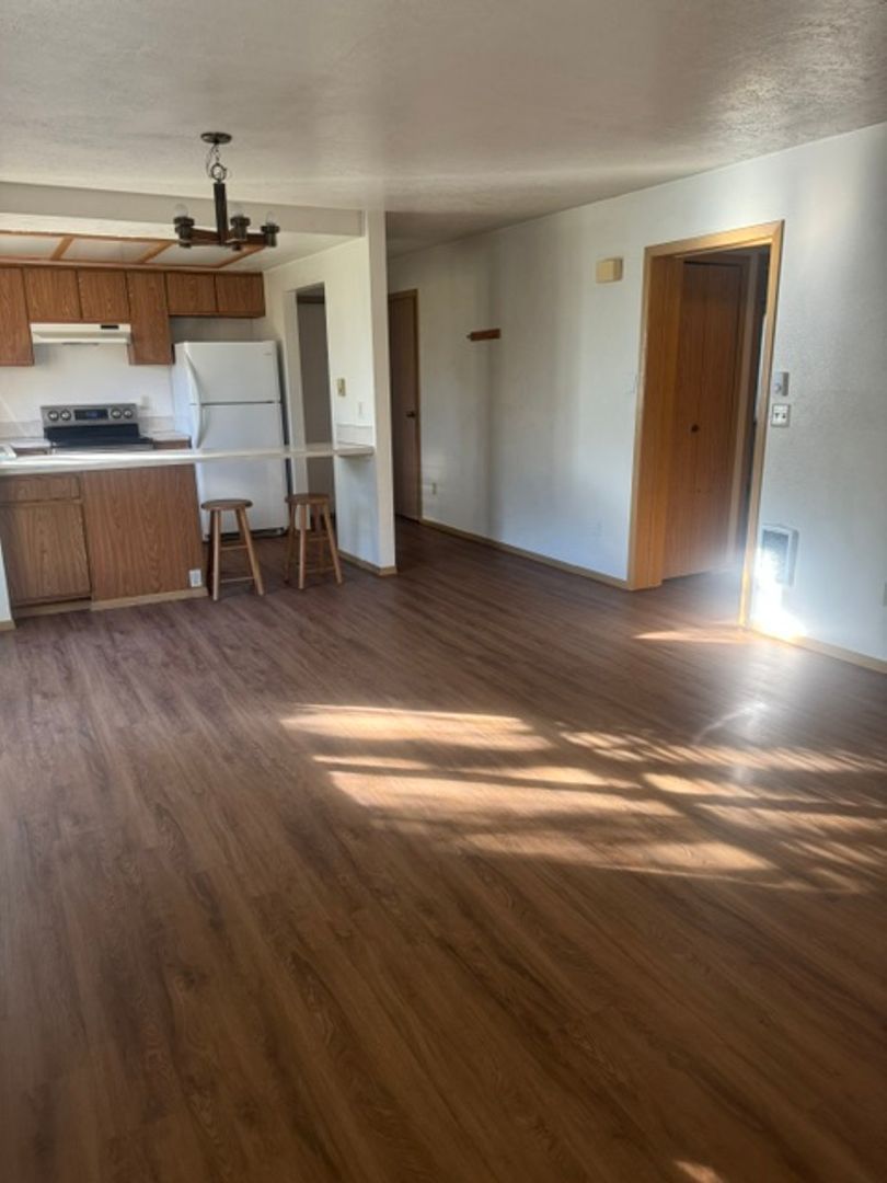 Hailey Apartment: 618 1/2 4th Ave. S