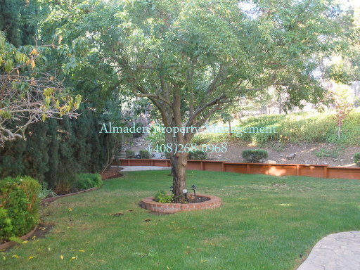 848 Downswood Court, San Jose, CA 95120