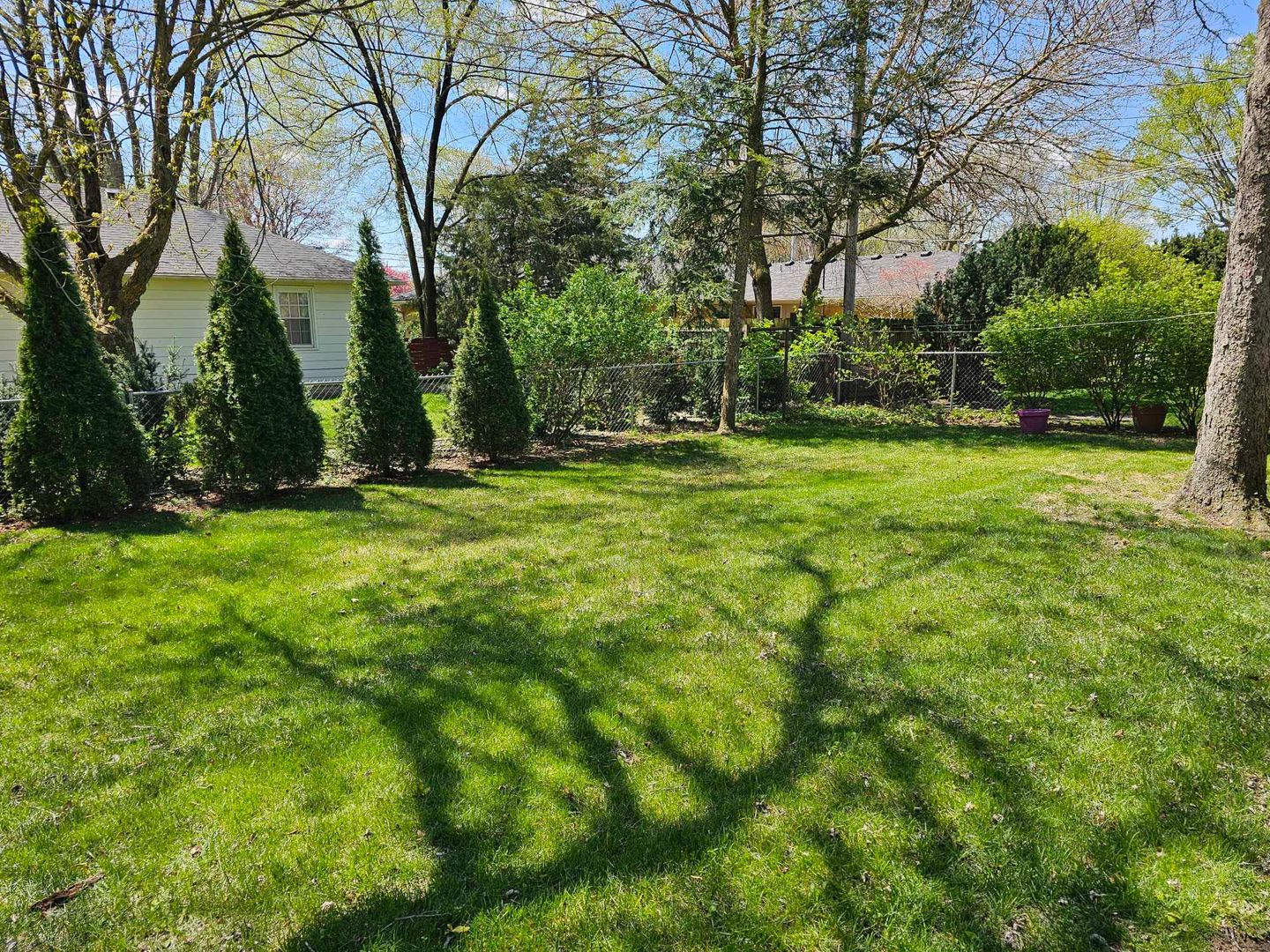 Bowling Green House: 925 Sunset
