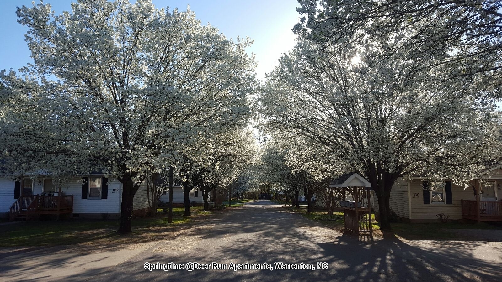 Warrenton Apartment: 103-121 Deer Run Dr.