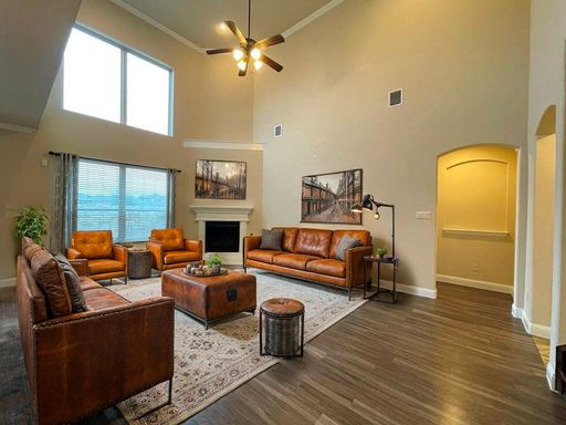 433 Mistflower Springs Dr, Leander, TX 78641