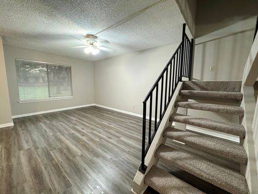 9502 Quail Village Ln., Austin, TX 78758