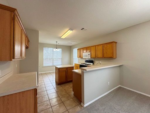 544 Hogan, Kyle, TX 78640