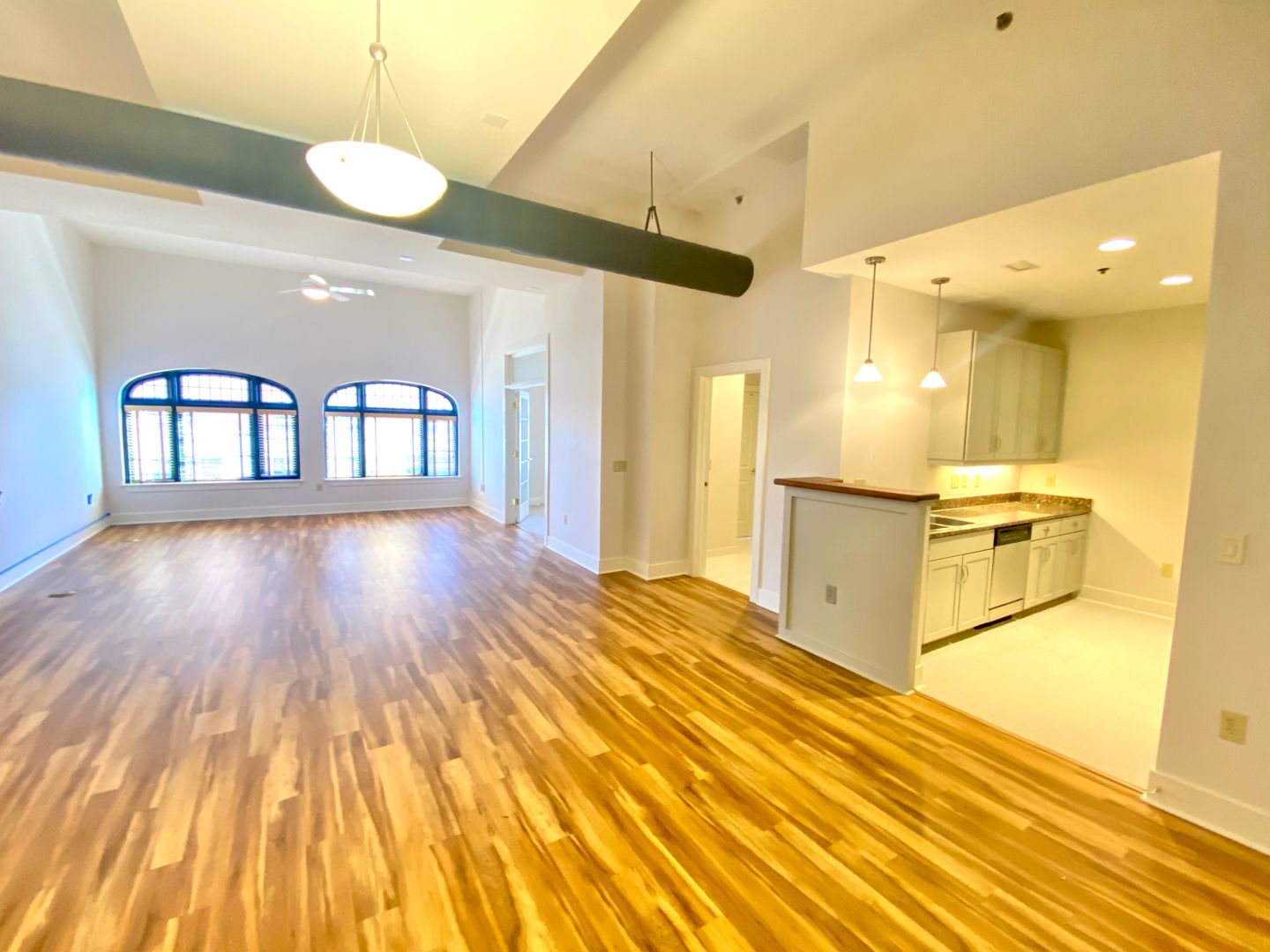 Asheville Apartment: 1 Page Avenue