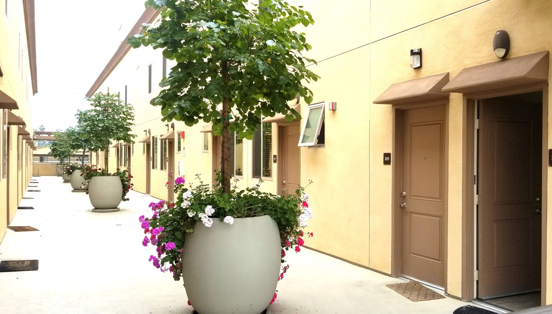Burbank Plaza Townhomes 5 of 12