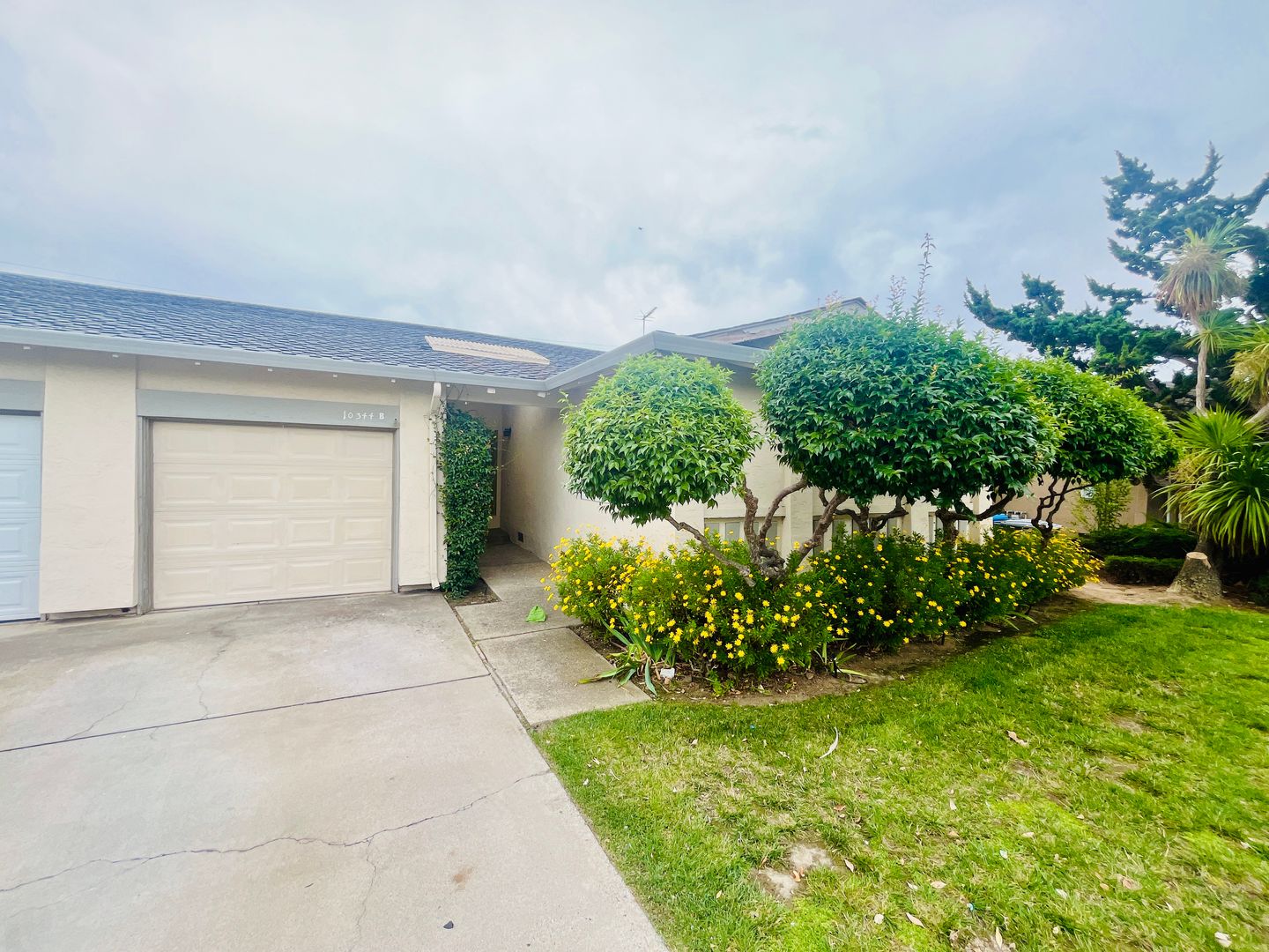 Cupertino Apartment: 10344 Vista Drive