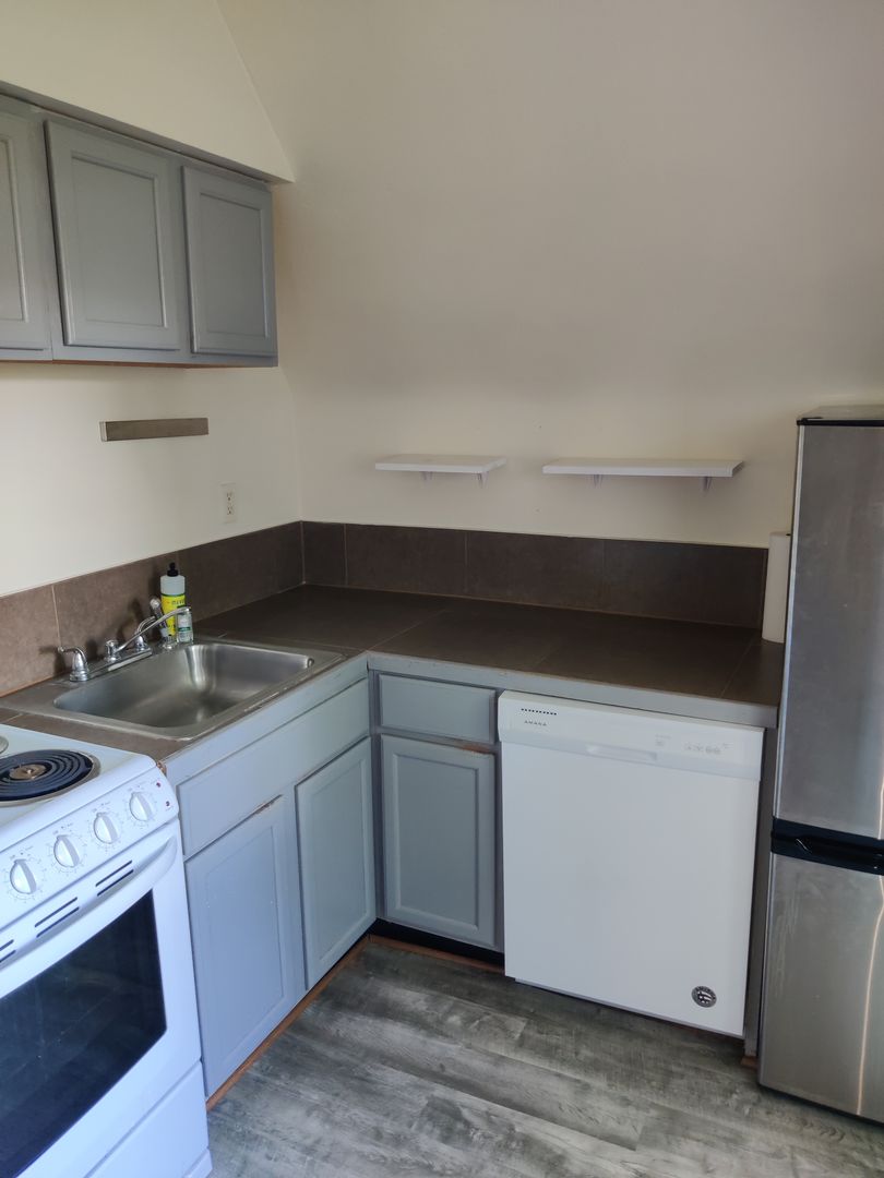 Pittsburgh Apartment: 125 Roup Ave. - Apt. 3