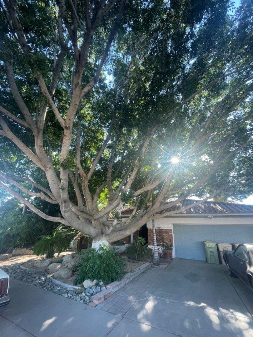 Glendale House: 6049 W Grandview Rd