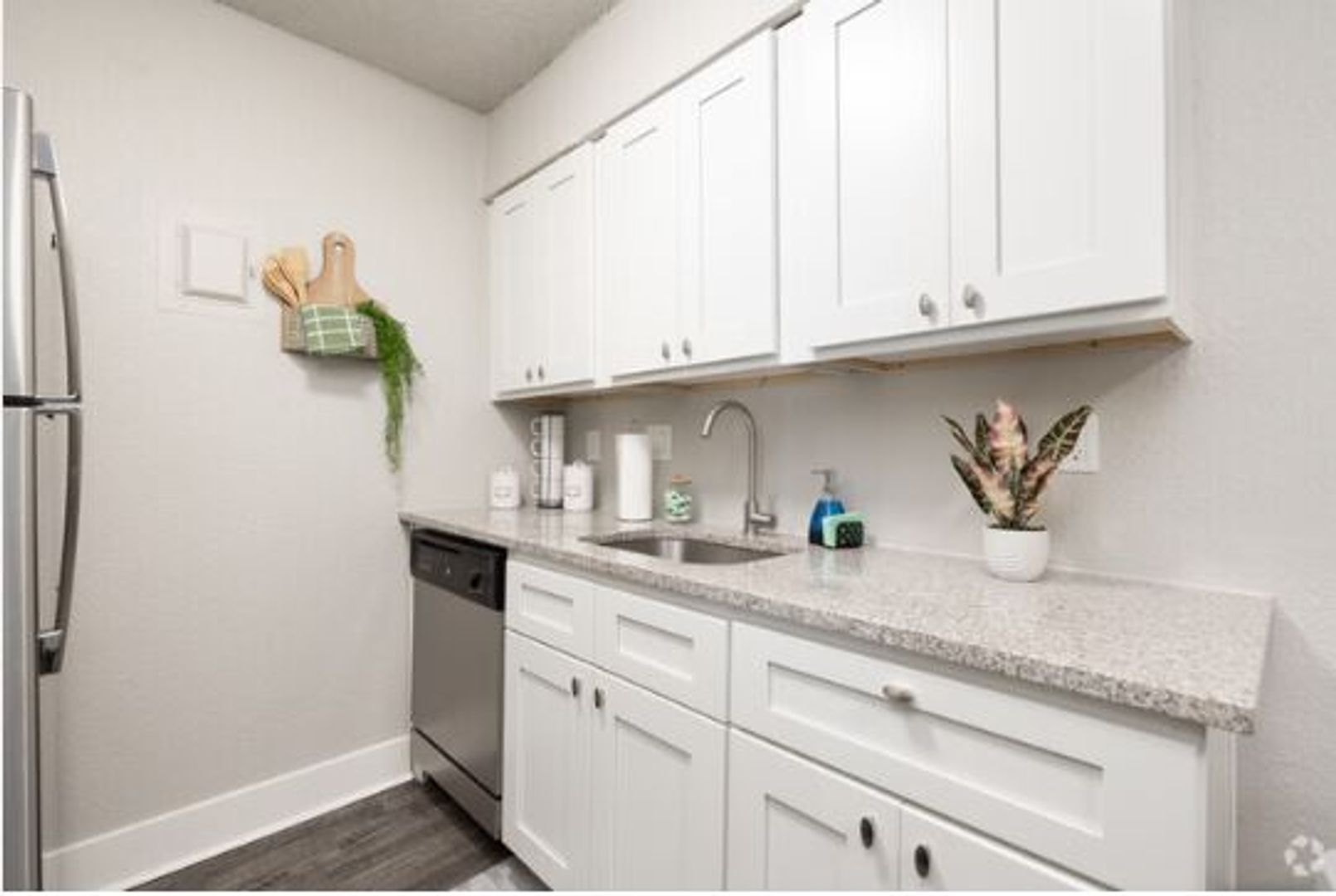 Colorado Springs Apartment: 505 E Arvada St