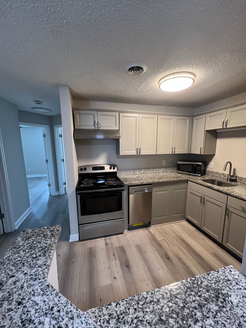 Charlotte Apartment: 415 W 10th Street