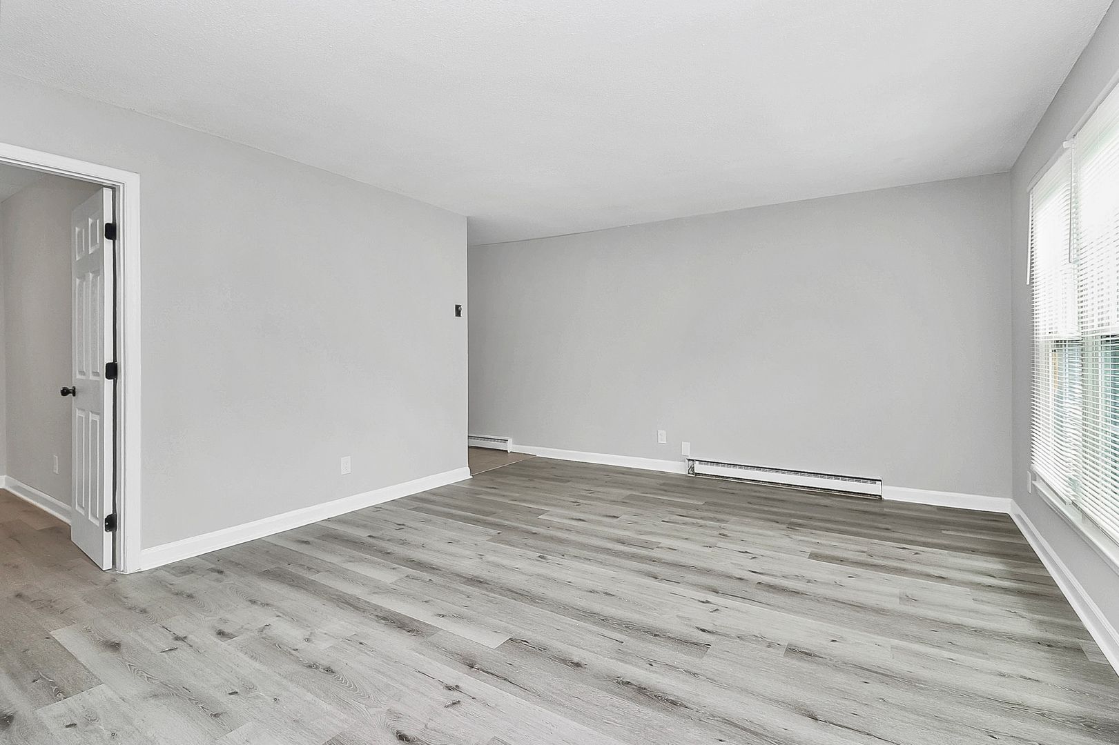 Charlotte Apartment: 314 Clarence Street