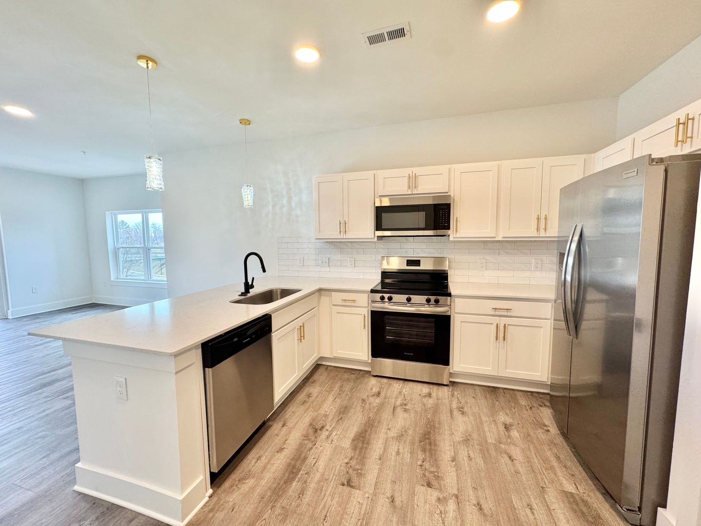 Rock Hill Apartment: 175 Black St