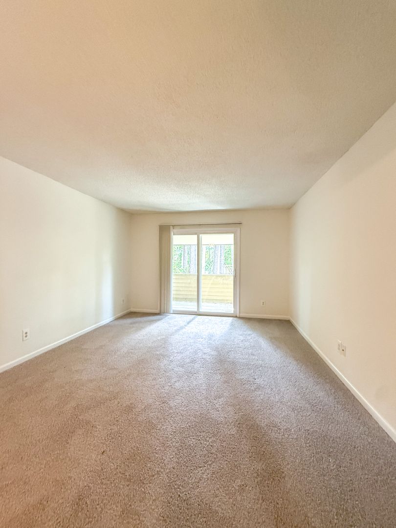 Jacksonville Apartment: 301 Village Drive
