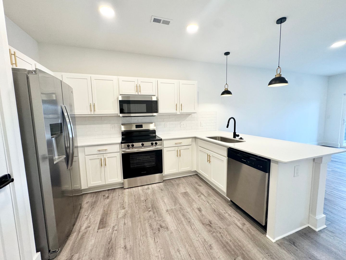 Rock Hill Apartment: 175 Black St