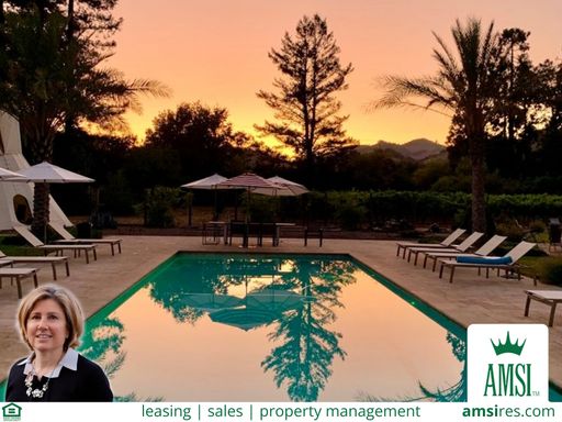 Fully Furnished Stunning Calistoga Retreat