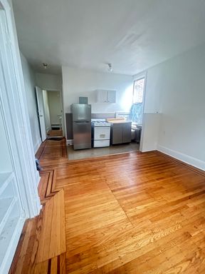 Lovely Apartment - North Philadelphia – photo 1