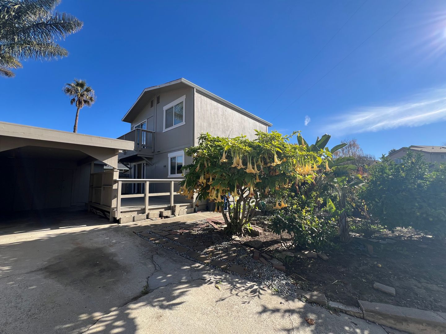 Santa Cruz House: 218 Mountain Way