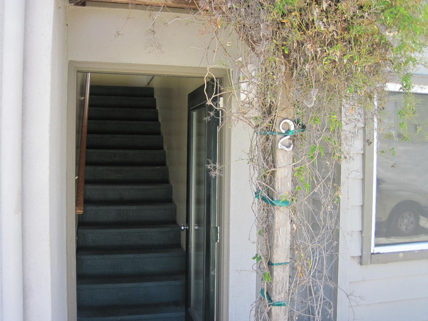 Santa Cruz Apartment: 219 Fern St