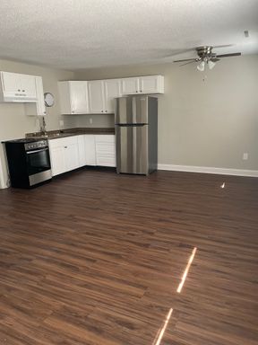 Renovated 1 Bedroom 1 Bath Apartment Home – photo 1