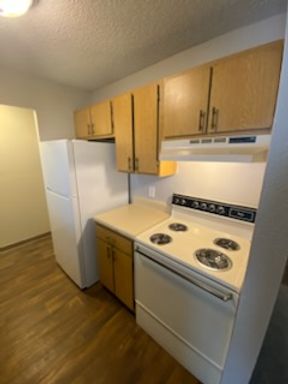 Spacious One Bedroom With Washer and Dryer Connections! – photo 1