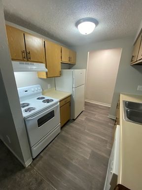 Spacious One Bedroom One Bath With Washer and Dryer Connections! – photo 1