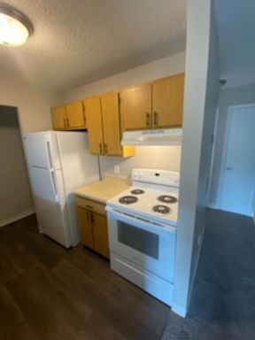 Spacious One Bedroom With Washer and Dryer Connections! – photo 1