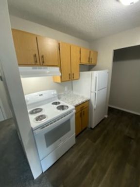 Spacious One Bedroom Apartment With Washer and Dryer Connections! – photo 1