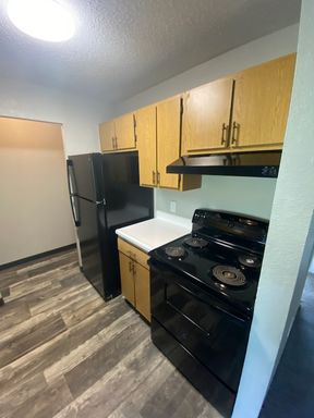 Spacious One Bedroom With Washer and Dryer Connections! – photo 1