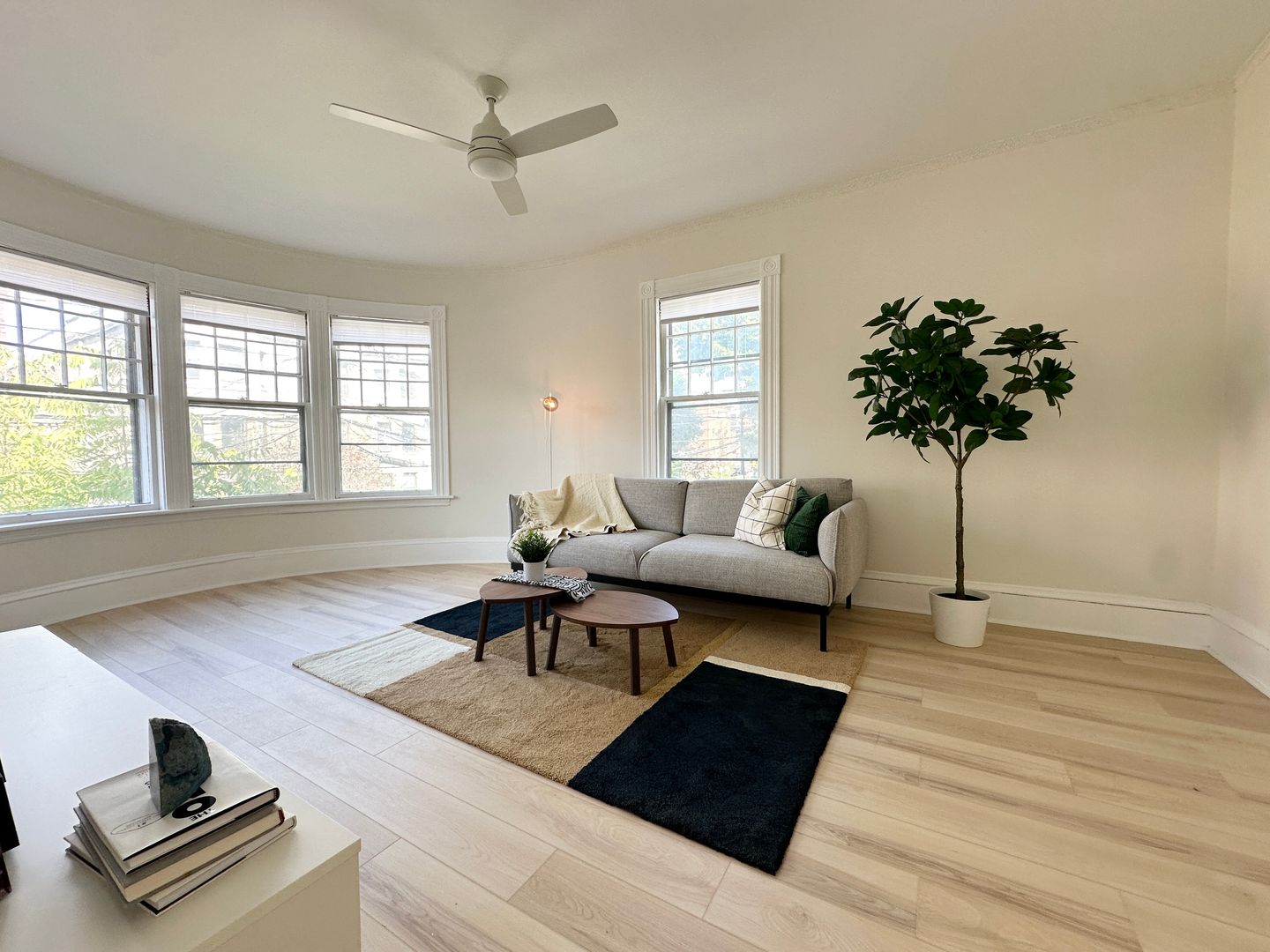 Boston Apartment: 71 Gardner ST