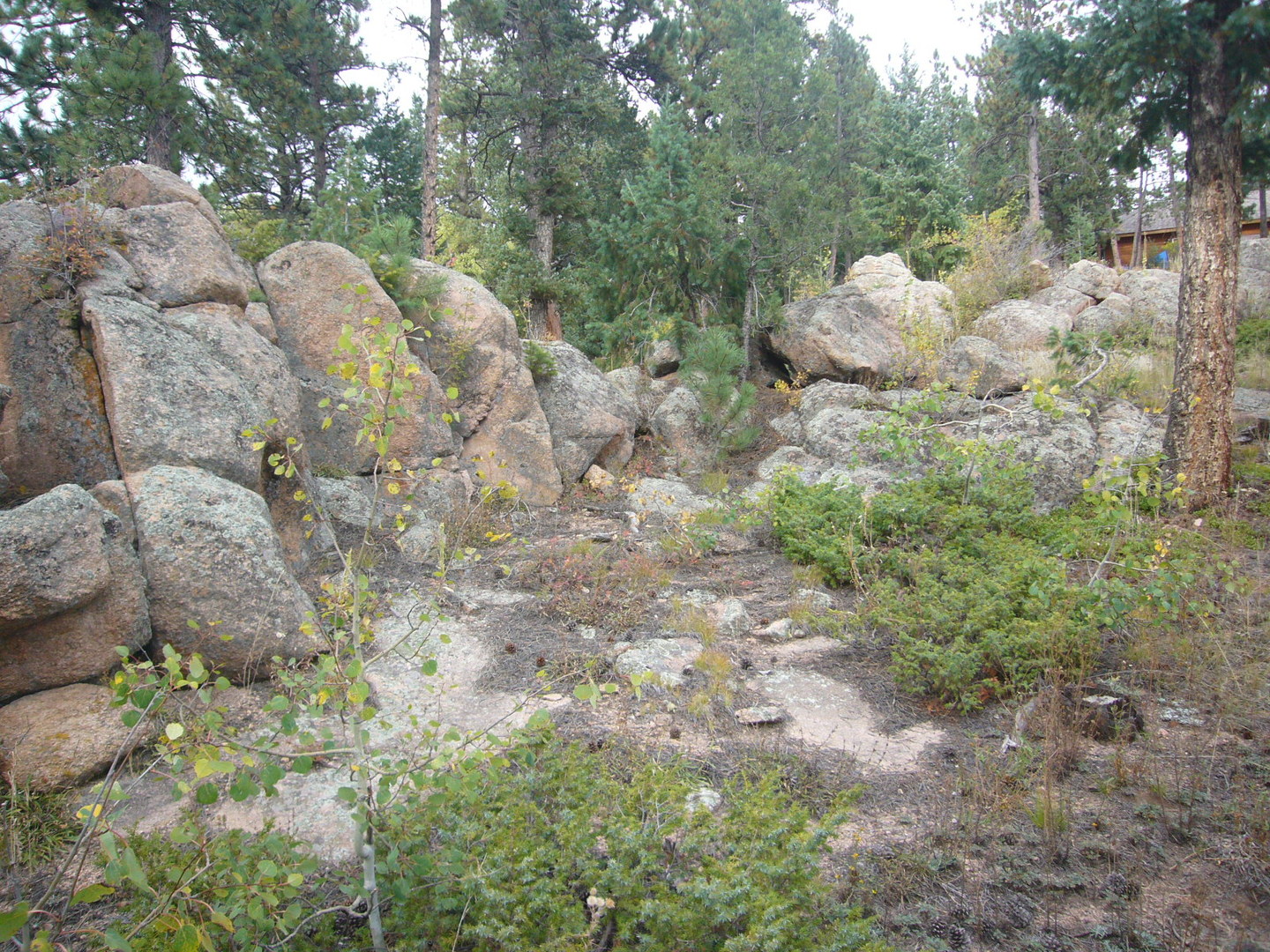 Conifer House: 12345 Bear Haven Rd.