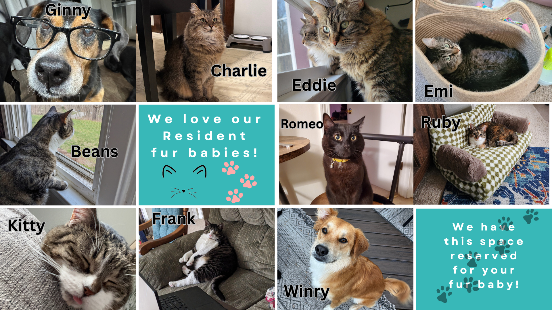 Myrtle Beach Apartment: 3691 Claypond Road