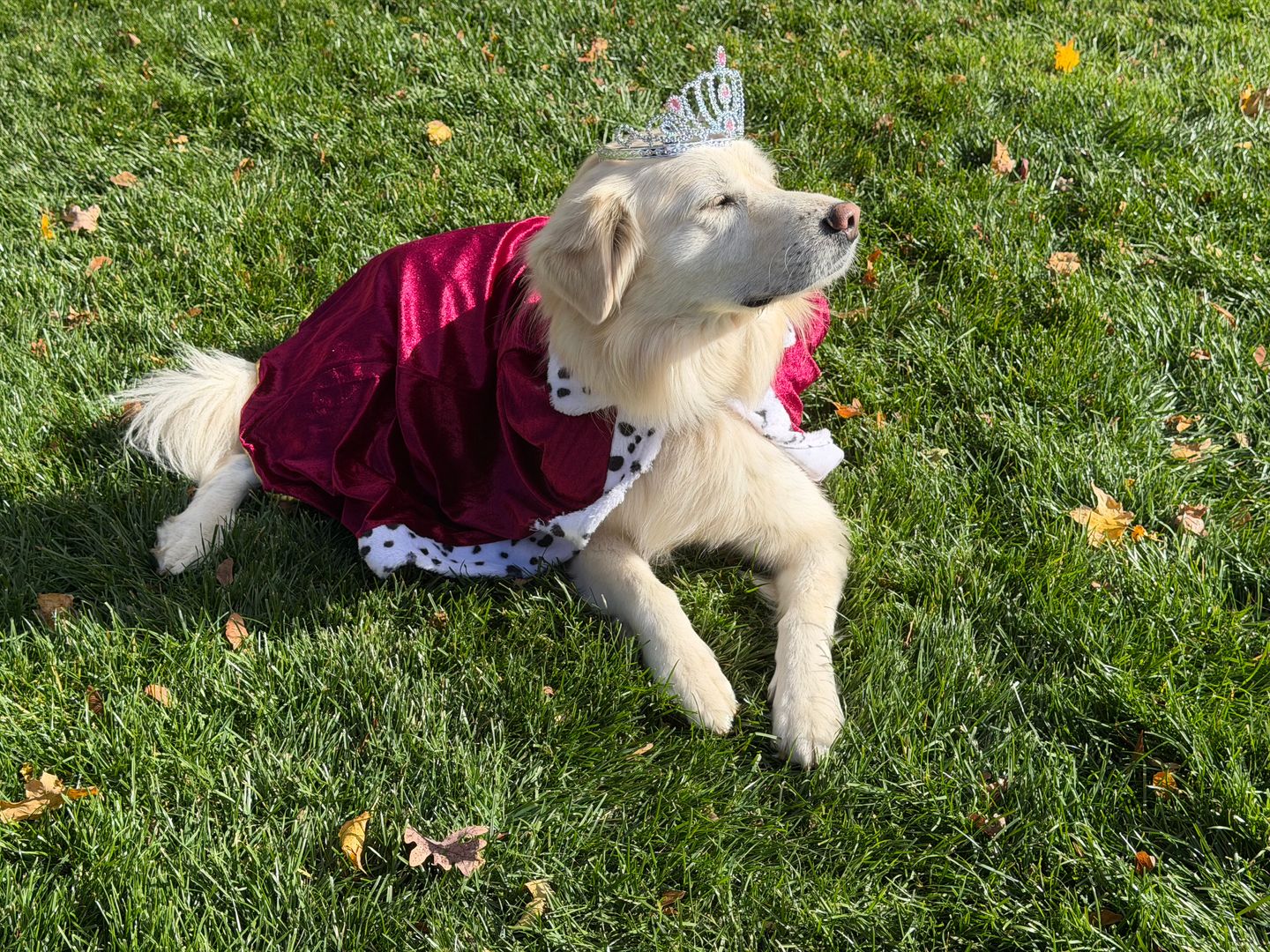 Conway Apartment: 1432 Highway 544