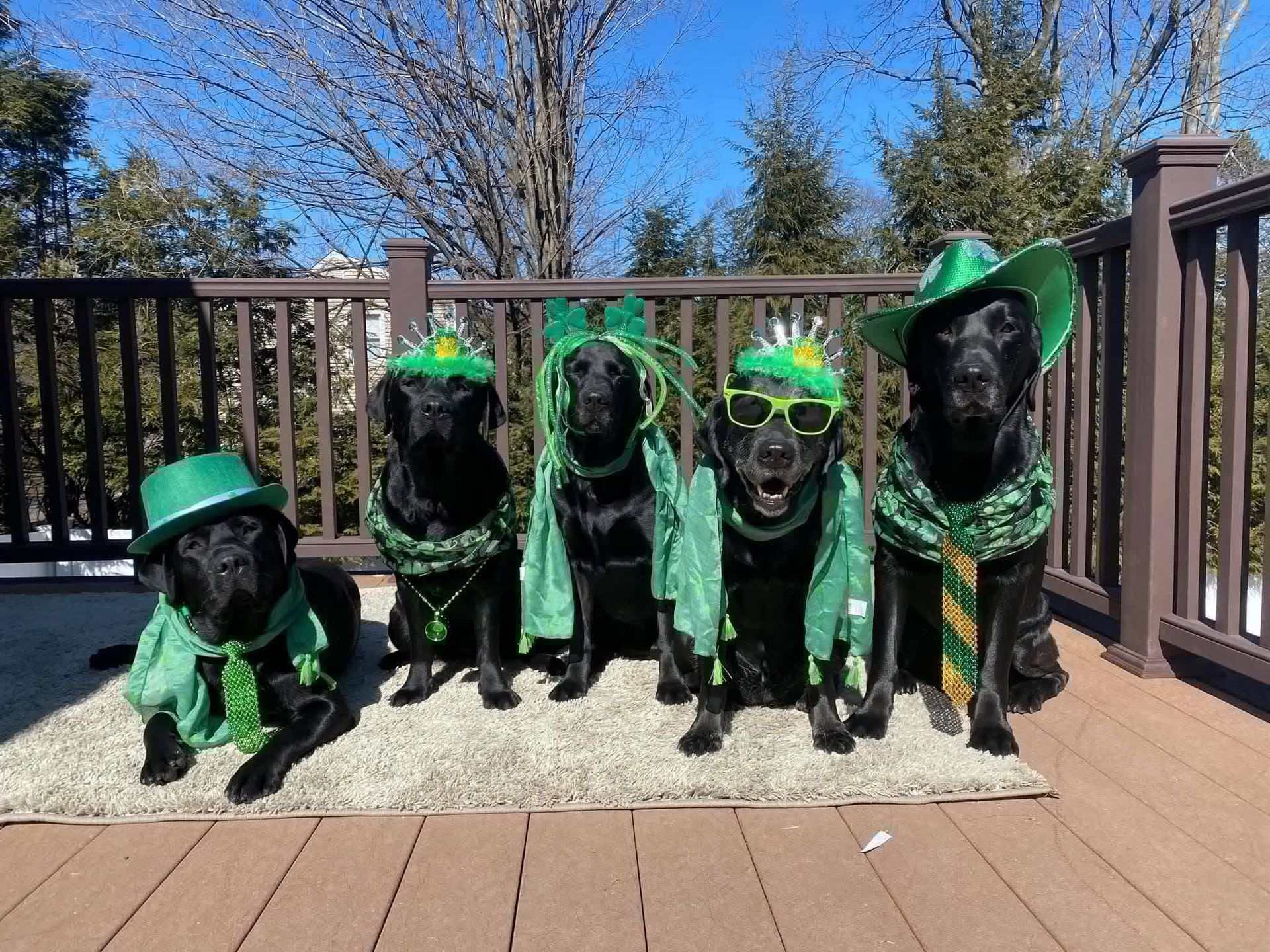 Myrtle Beach Apartment: 3703 Claypond Road